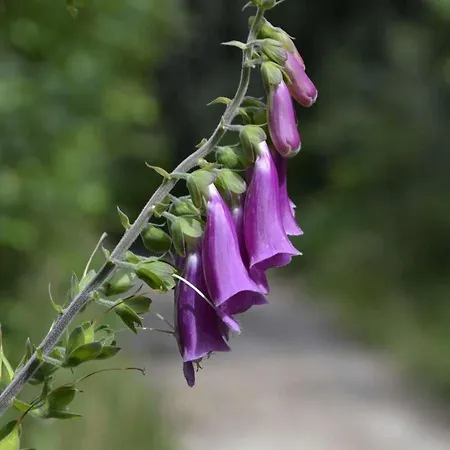 Haus Am Stein Haus 2 By Interhome *